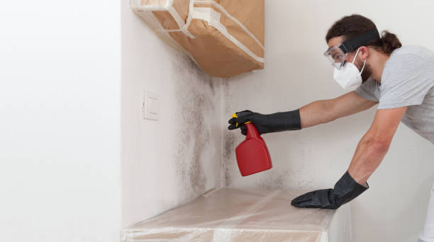 Professional Crawl Space Mold Removal technician working in Natick, MA