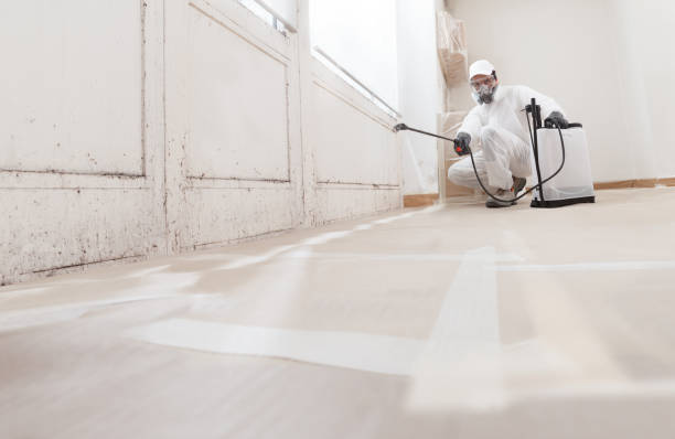 24/7 Emergency Crawl Space Mold Removal experts in Natick, MA